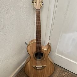 Bajo Quinto RB SILVER SERIES con Pastilla FISHMAN rare Y Estuche Rígido 