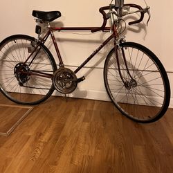 Vintage Schwinn Bike