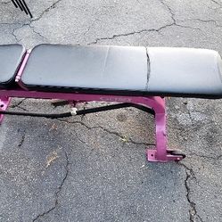 Cybex Commercial Weight Bench