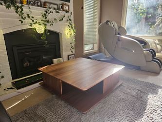 Dania Modern Walnut Coffee Table with Storage