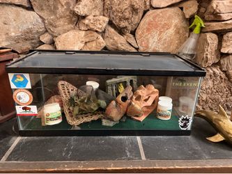 Reptile cage with a lot of extras