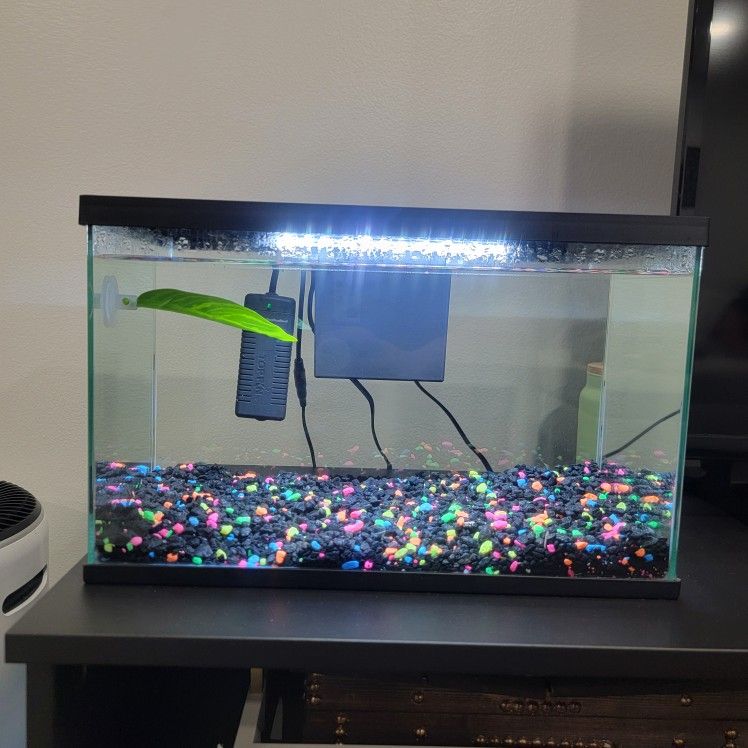 Fish Tank 3 Gallon