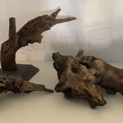 Aquarium Driftwood Already Cicle