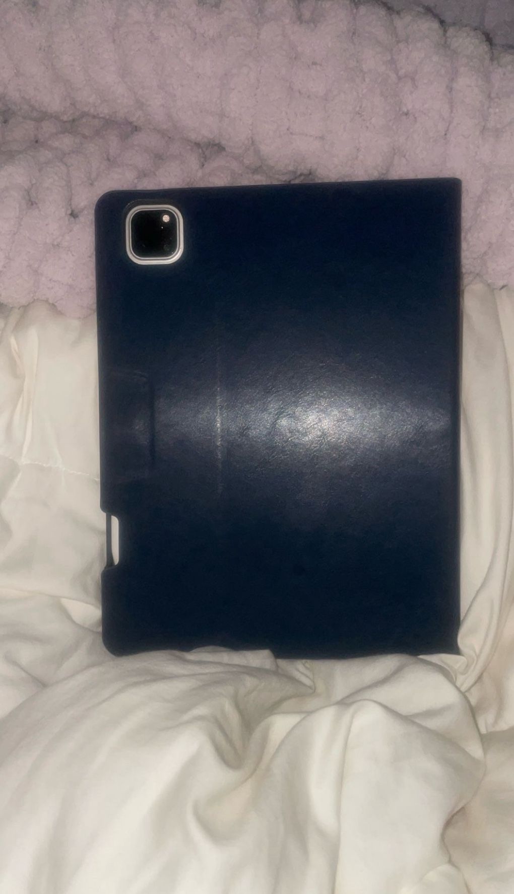 iPad Pro 256gb 3rd Generation 11inch M1