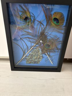 Beautiful & Colorful Peacock Feather Wall Or Shelf Art In Black Frame With Glass. Proud & Pretty As A Peacock! Wired On Back. Ready To Hang.