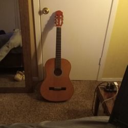 Guitar 