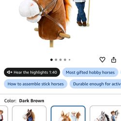 Stick Pony Horse 