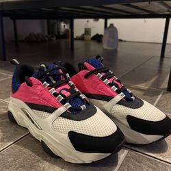 Dior B22 “blue White”