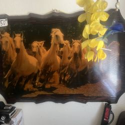 Wild White Horses &Acustic Electric Guitar ( Urban) $50