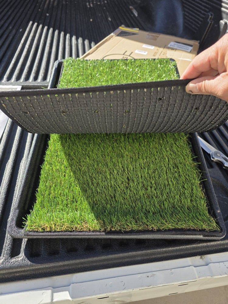 Small 23 x 16 pee pad New