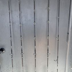 PENN Carnage IIl Spinning Rods New 