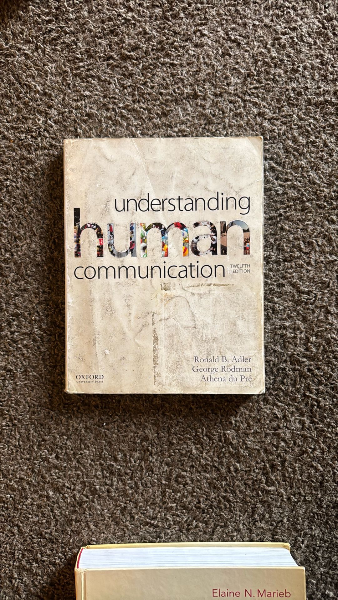 Understanding Human Communication 