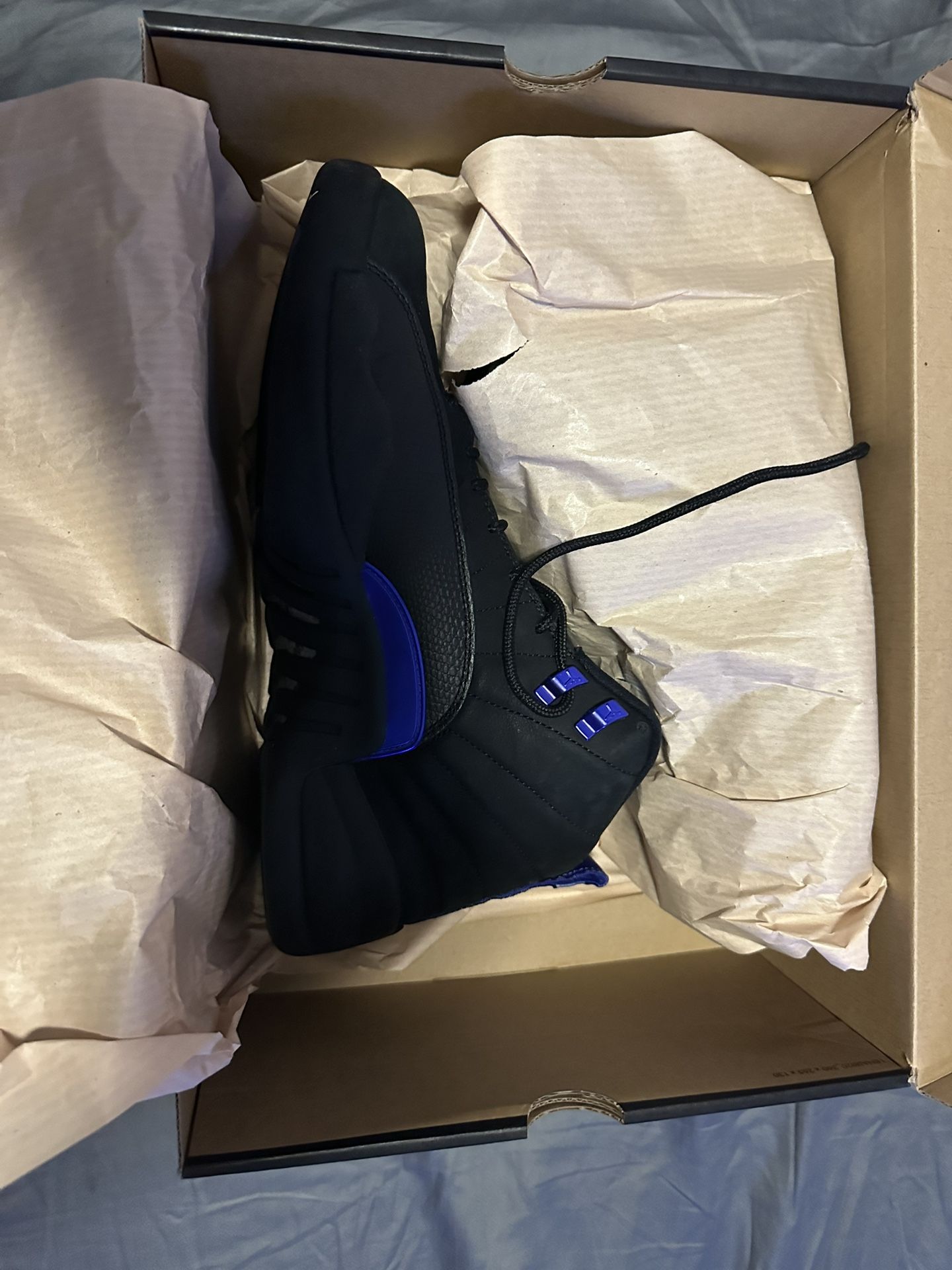 Jordan 12 Dark Concord