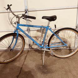 Novara Cruiser Bike ( Aspen ) 