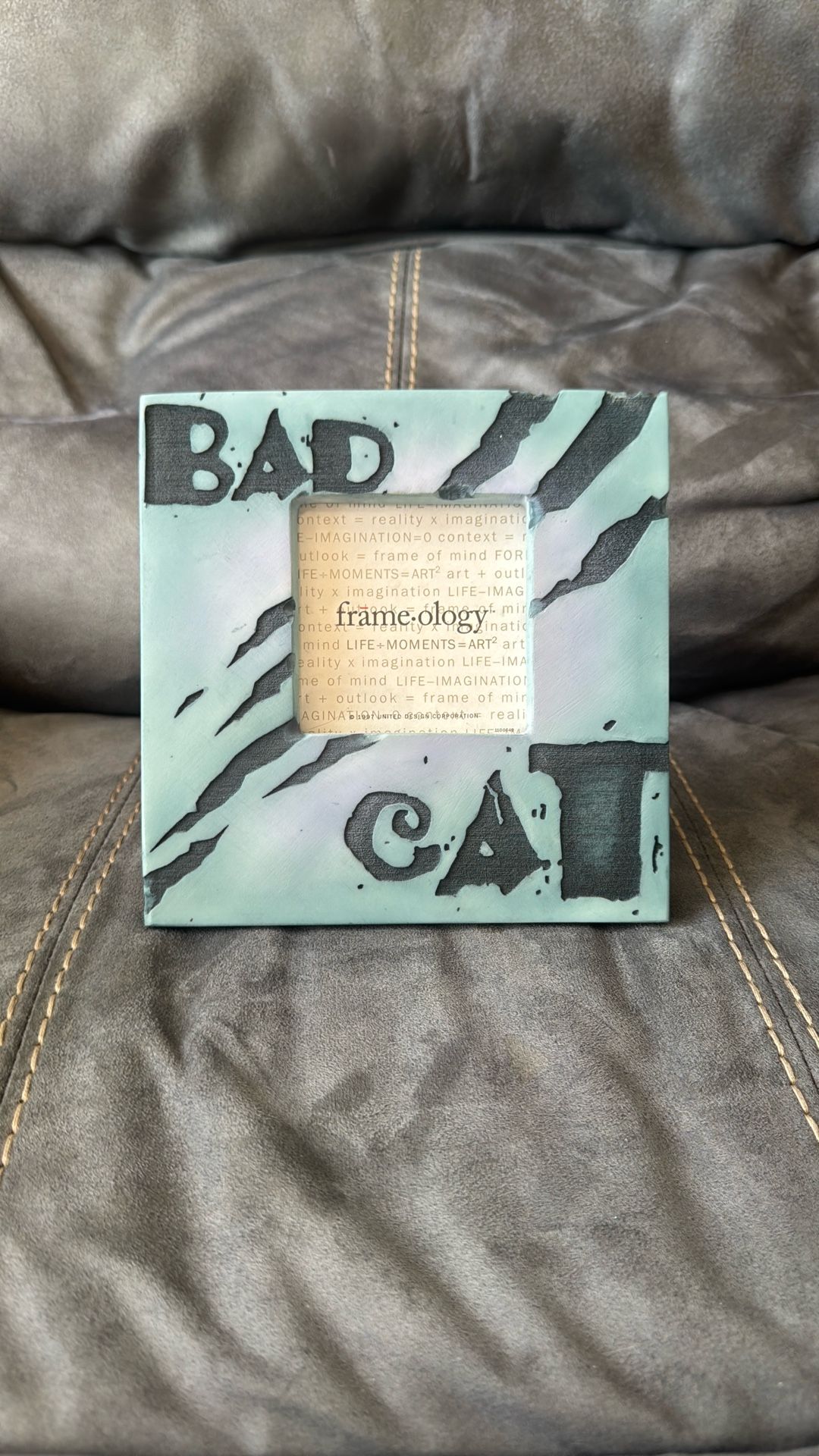 New Frame•ology Bad Cat Pet Picture Photo Frame Decoration