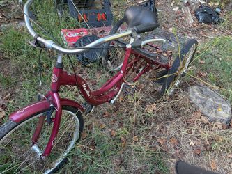 Adult Tricycle
