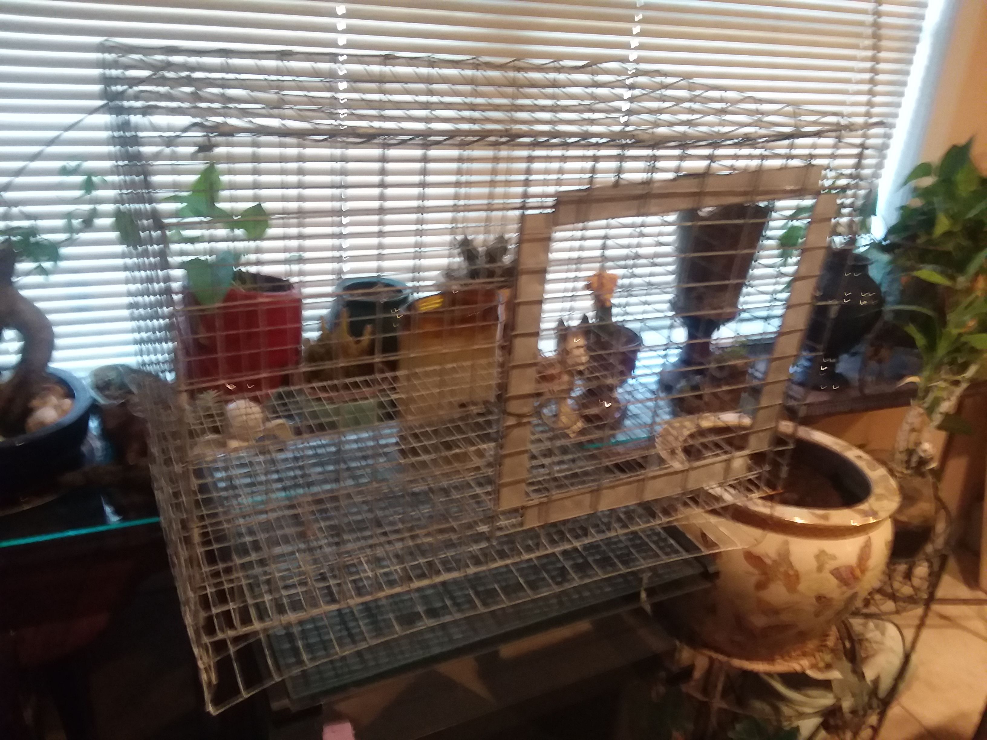 Medium dog cage