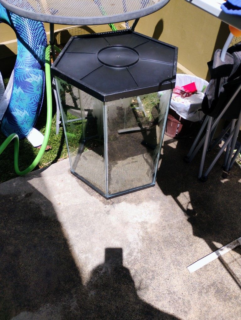 Fish Tank