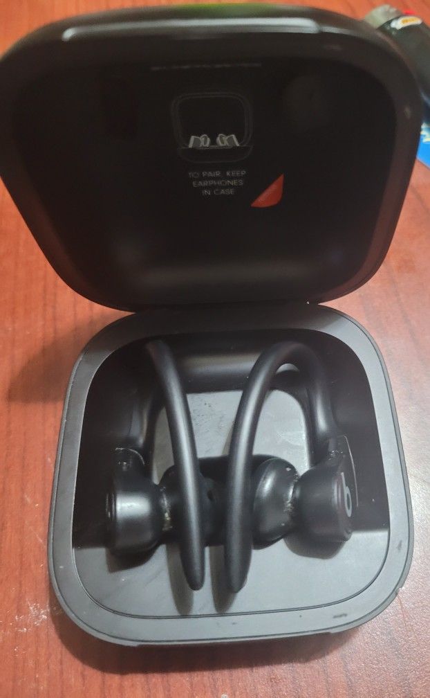 Beats Powerbeats Pro Wireless Earbuds - Apple H1 Headphone Chip - Black