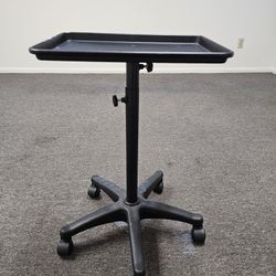 Equipment Tray With Wheels