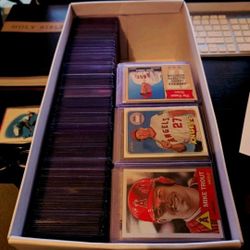 Mike Trout Collection