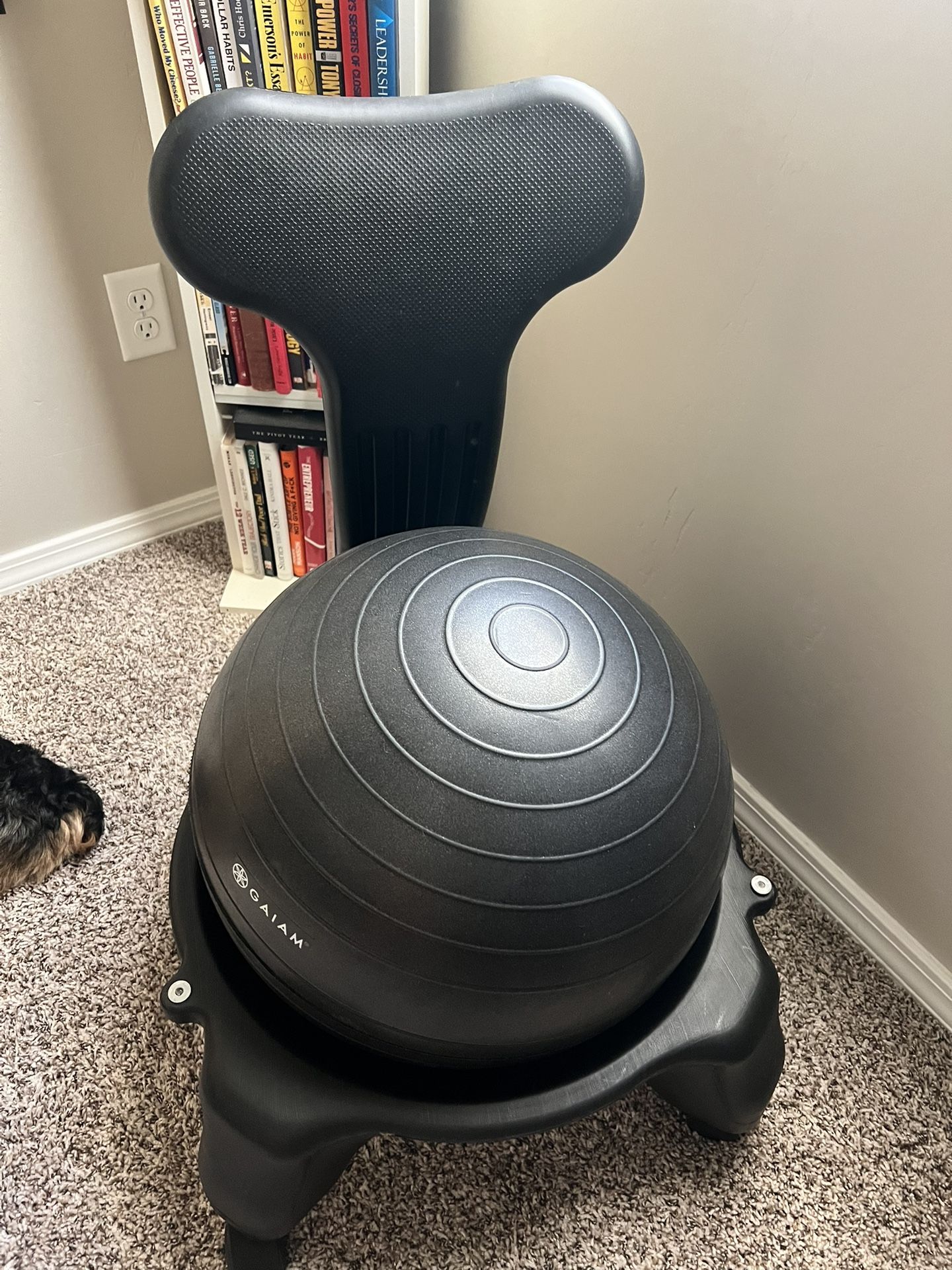 Gaiam Chair Ball