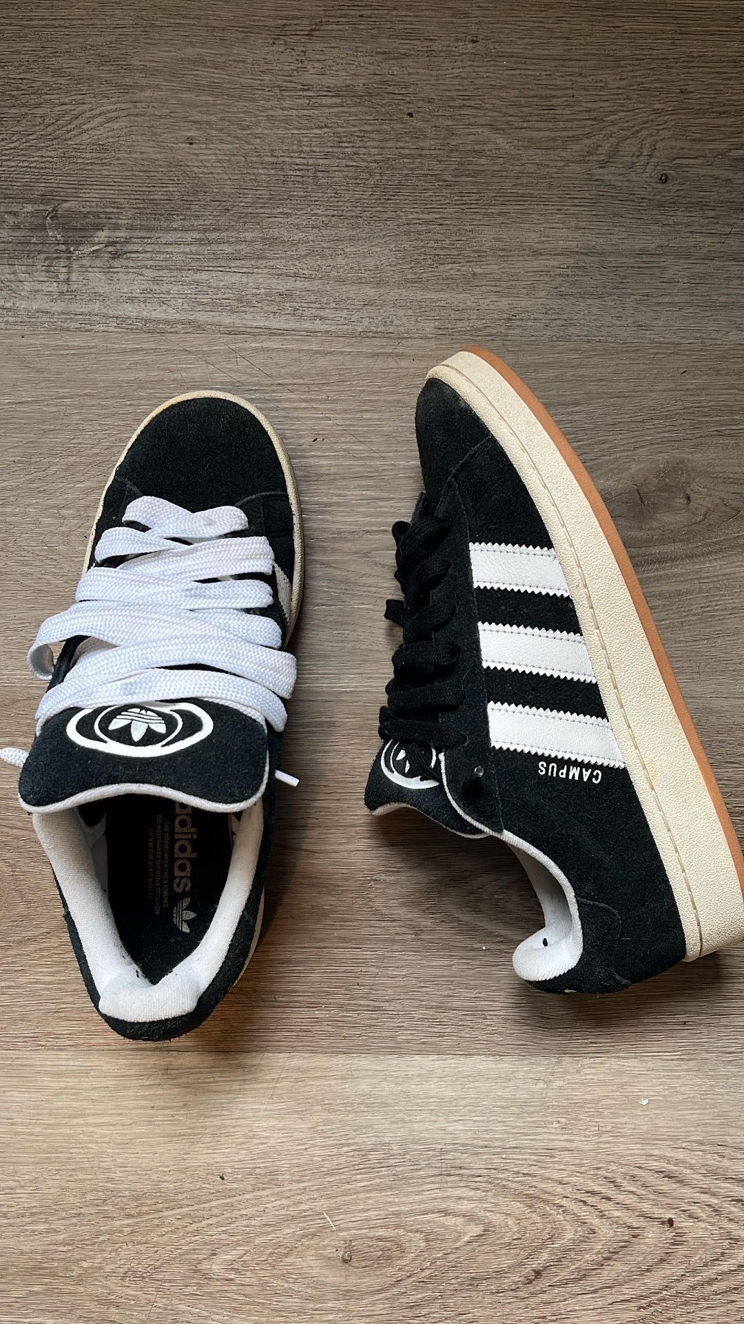 Adidas campus