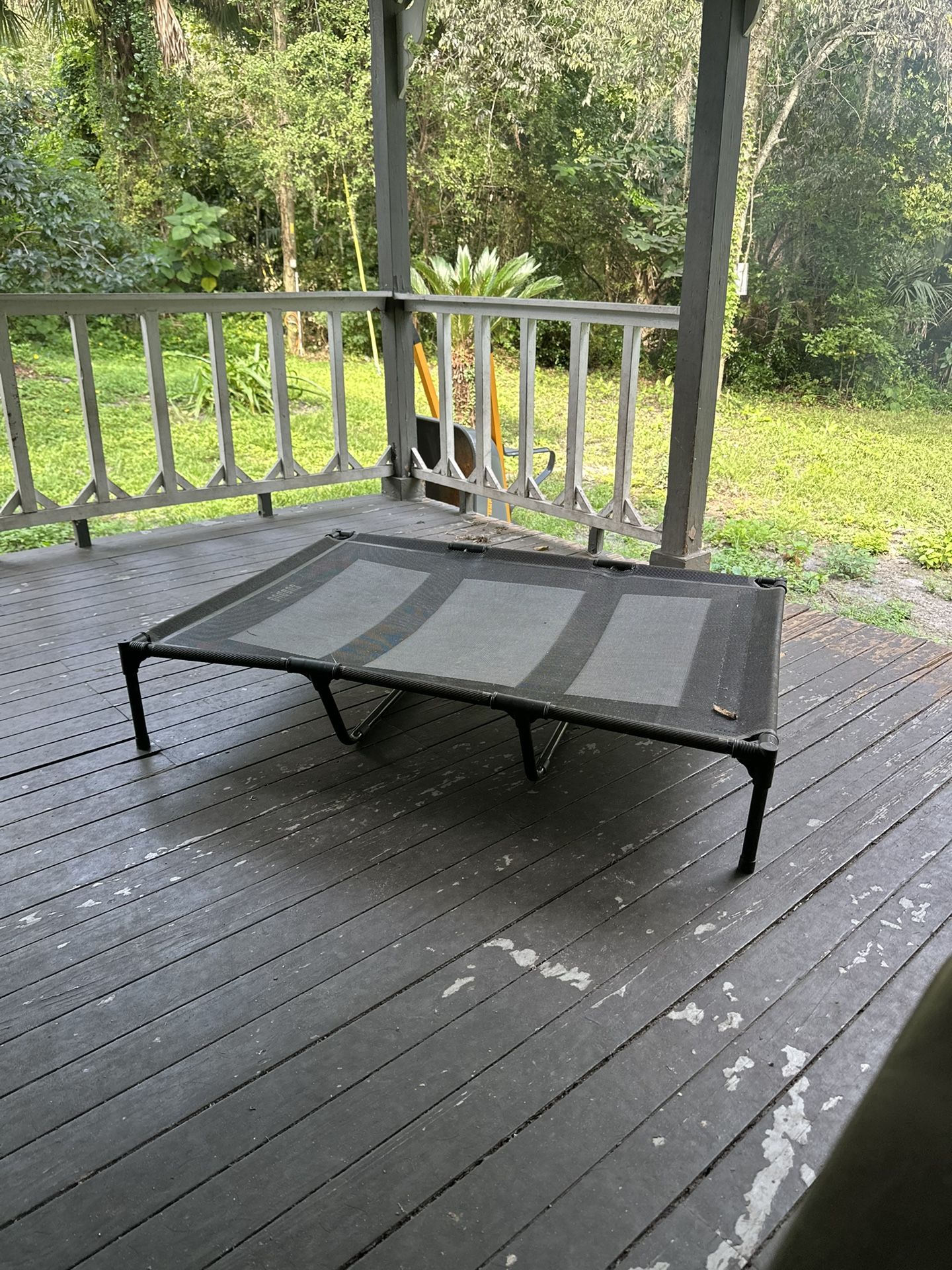 Raised Mesh Dog Bed Free!!!!