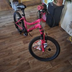20" BCA Bike 