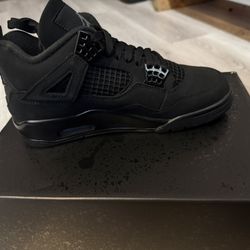 Nike Jordan Black Cat 