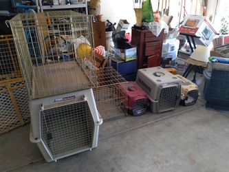 Pet carriers of many sizes