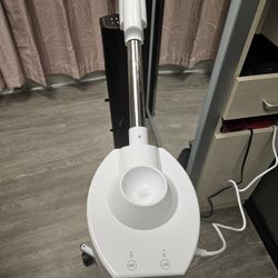 Facial Steamer