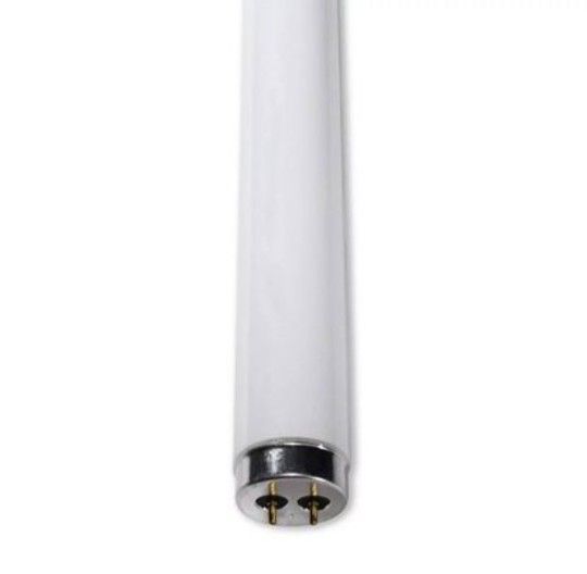 DEAL PHILIPS 48" F34T12/CW/RS/EW/ALTO REPLACED BY 30 PACK replacement light bulb lamp NEW