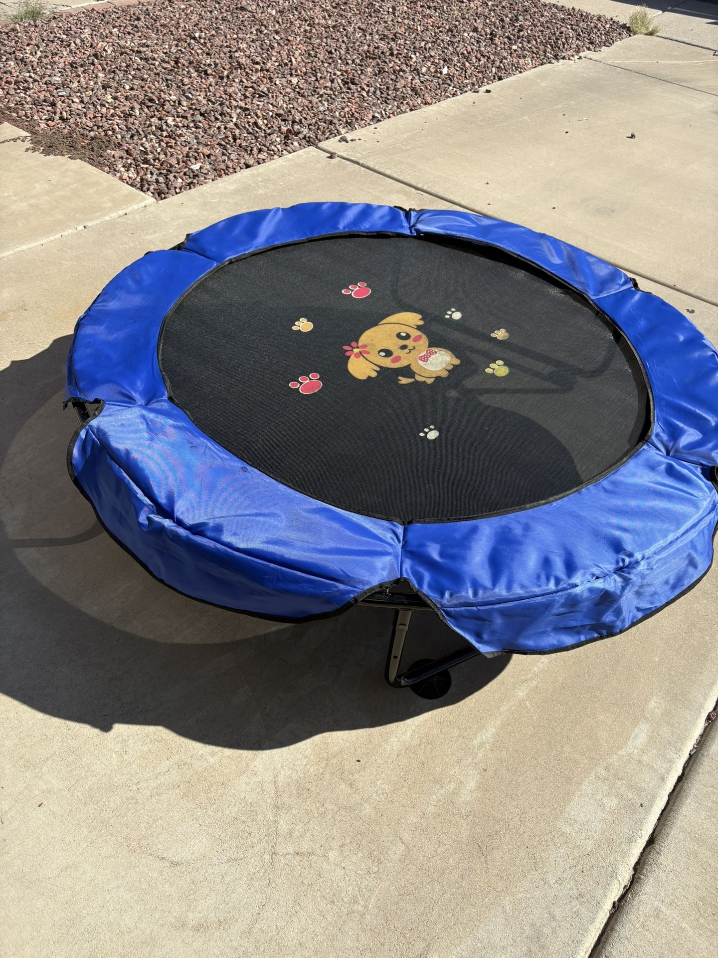 Kids Trampoline