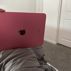 Apple Pink iPad 