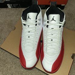 Jordan 12s