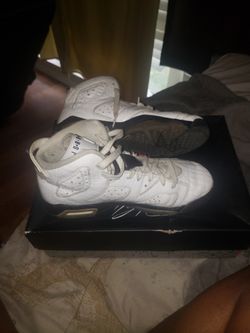 Jordan 6s Snake Skin