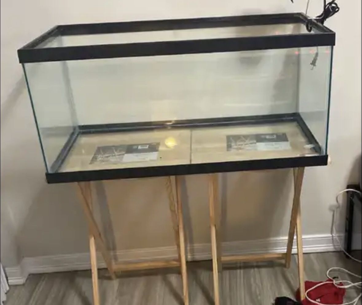 40 Gallon Tank