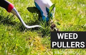 WEED PULLING SERVICE message me for quotes based on pictures