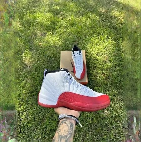 Jordan Retro 12