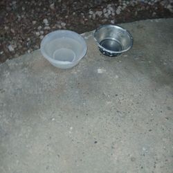 The dog bow one empty 141 metal one plastic