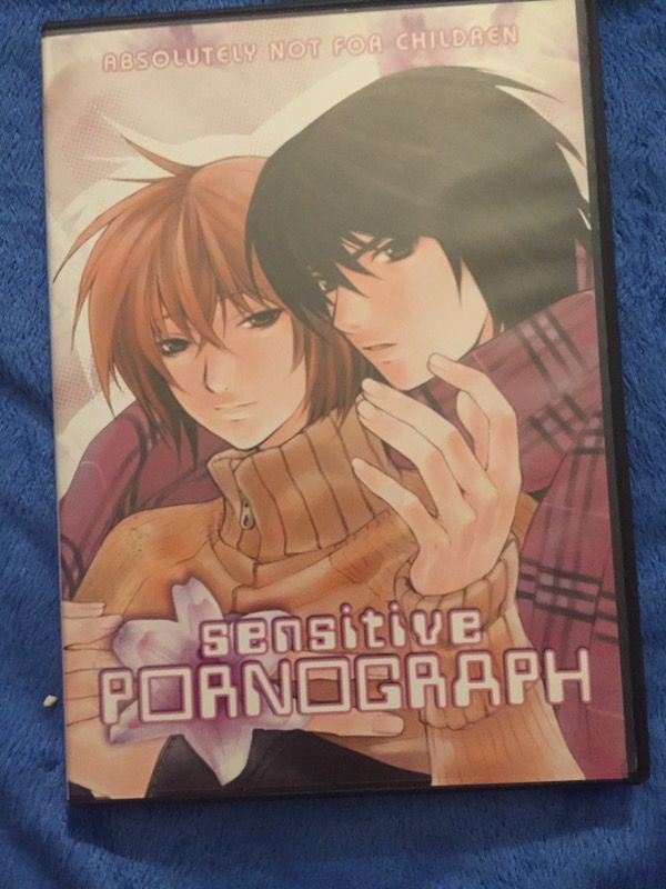 Sensitive pornograph anime DVD