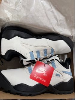 Nike X Supreme SB Darwin Low Sail