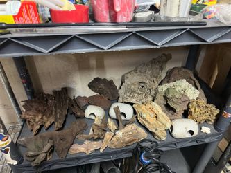 Driftwood , lava rocks Etc