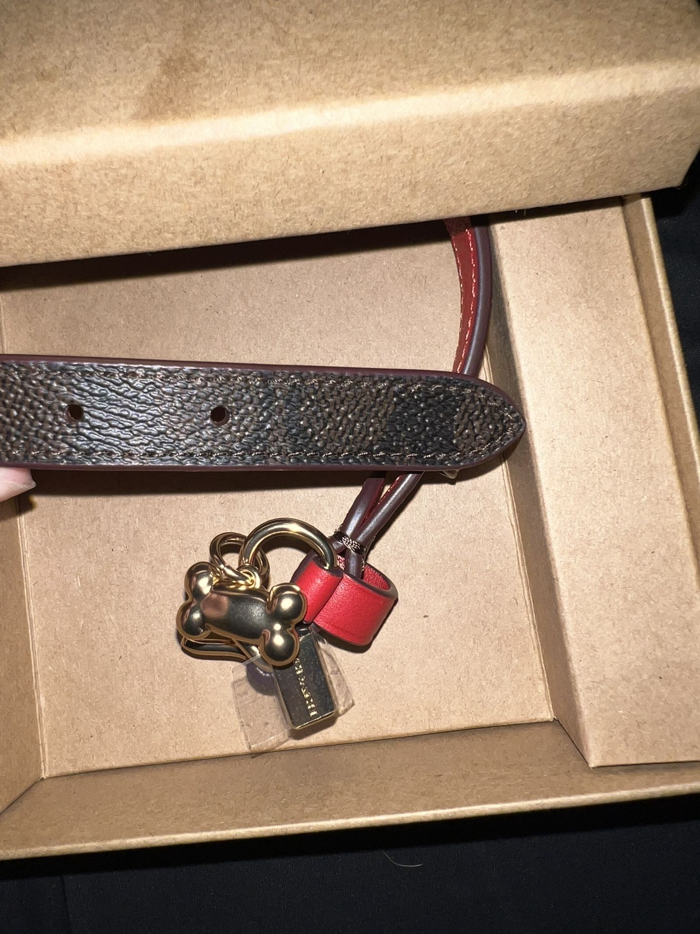 coach dog collar