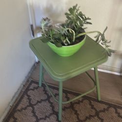 Plant With Metal Stands Like New Fresh Plants 