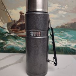 Thermos Vacuum Bottle