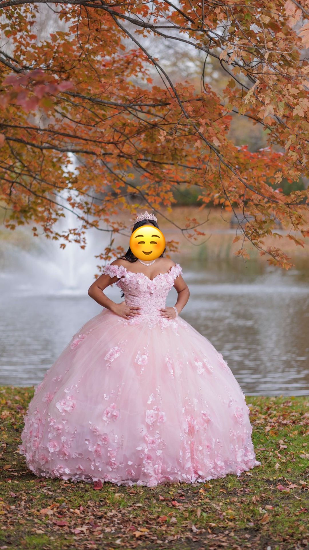 Quinceanera Dress