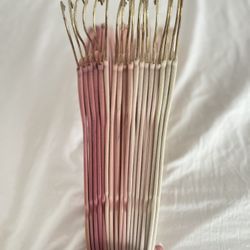 Velvet Pink Hangers 