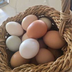 Fresh Farm Eggs